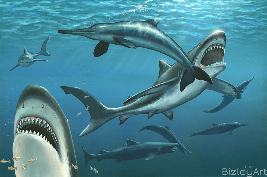 1310 Megalodons and Squalodons