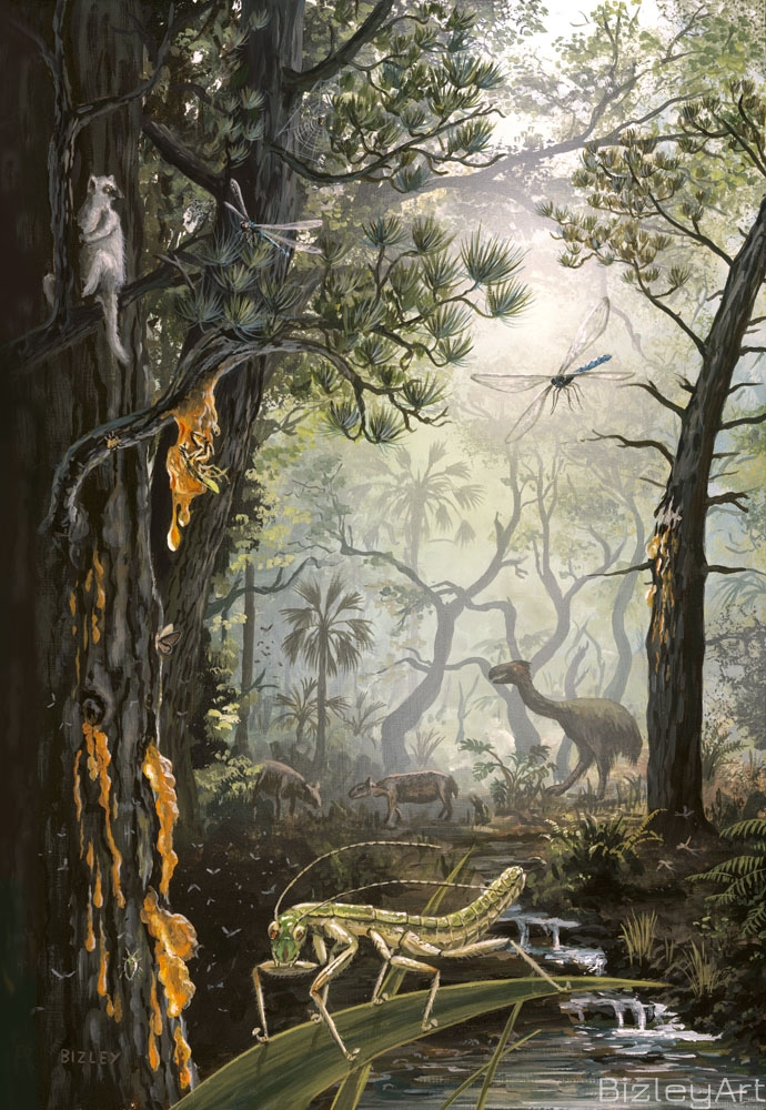 1117 Eocene Baltic Forest Scene