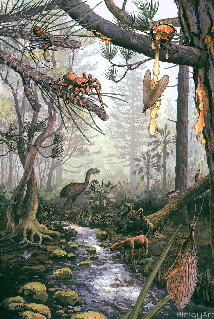 1227 Spiders of the Baltic Forest