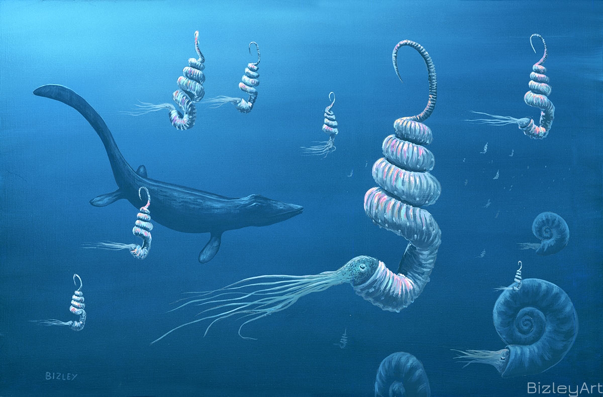 1318 Didymoceras & Mosasaur