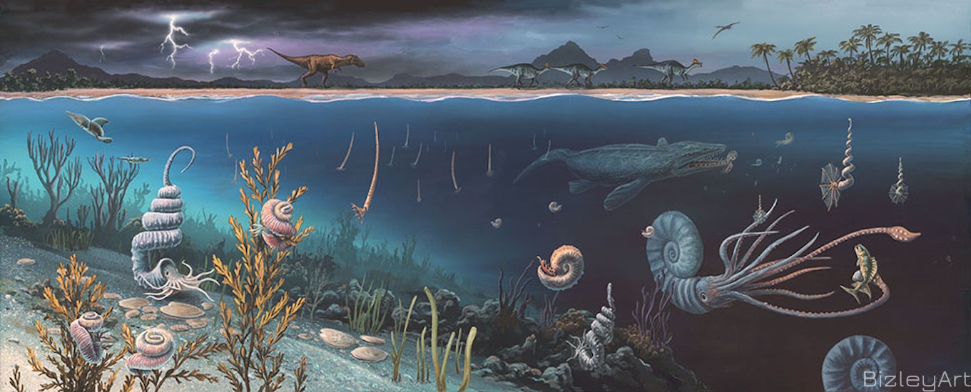1323 Cretaceous