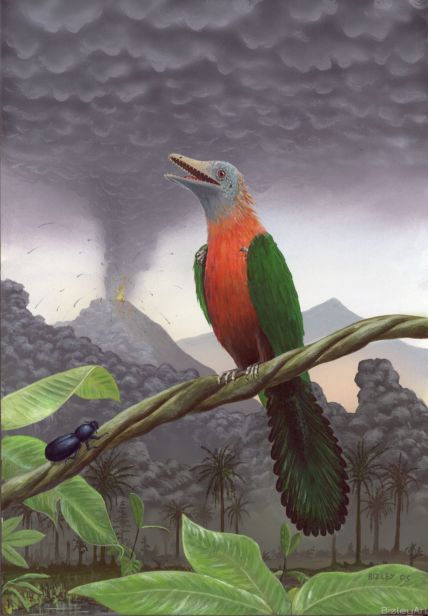0509 Eoenantiornis Buhleri 