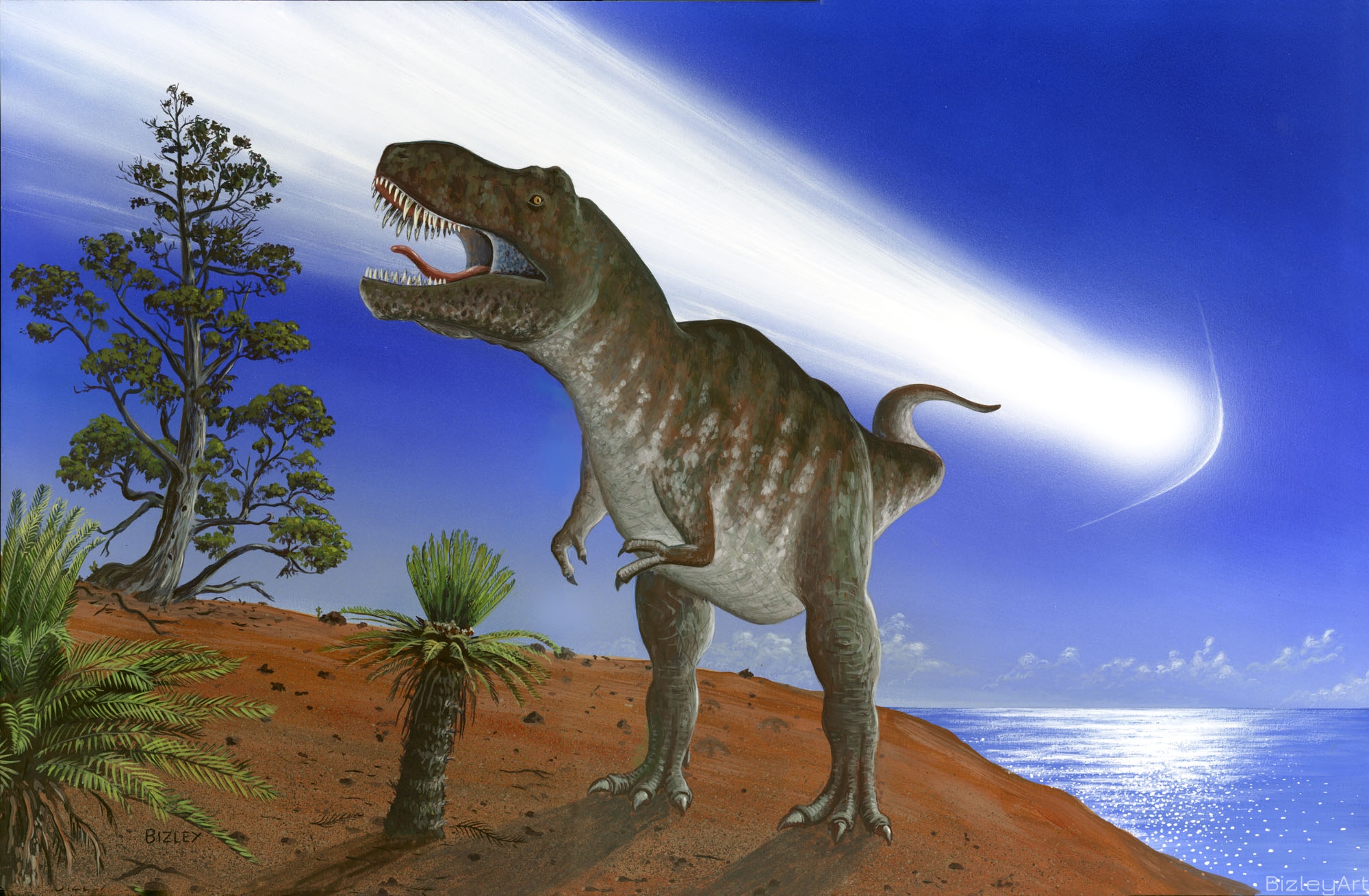 0308 T Rex & Asteroid