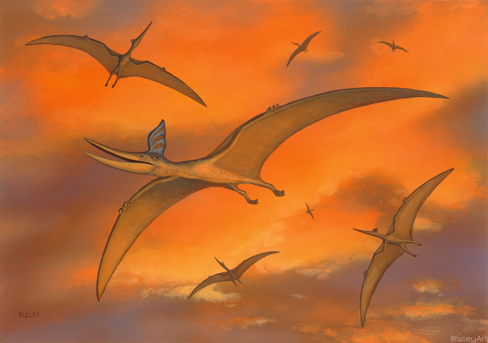 0539 Pterosaurs 