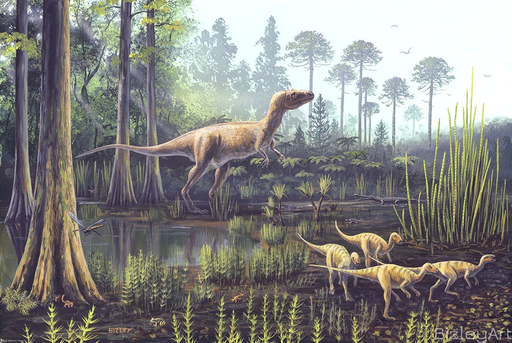 1306 Megalosaurus and Hypsilophodons