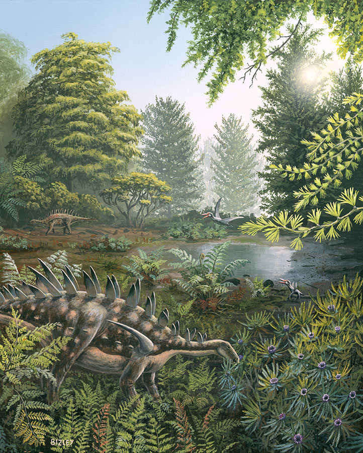 2503 Middle Jurassic, Hasty Bank