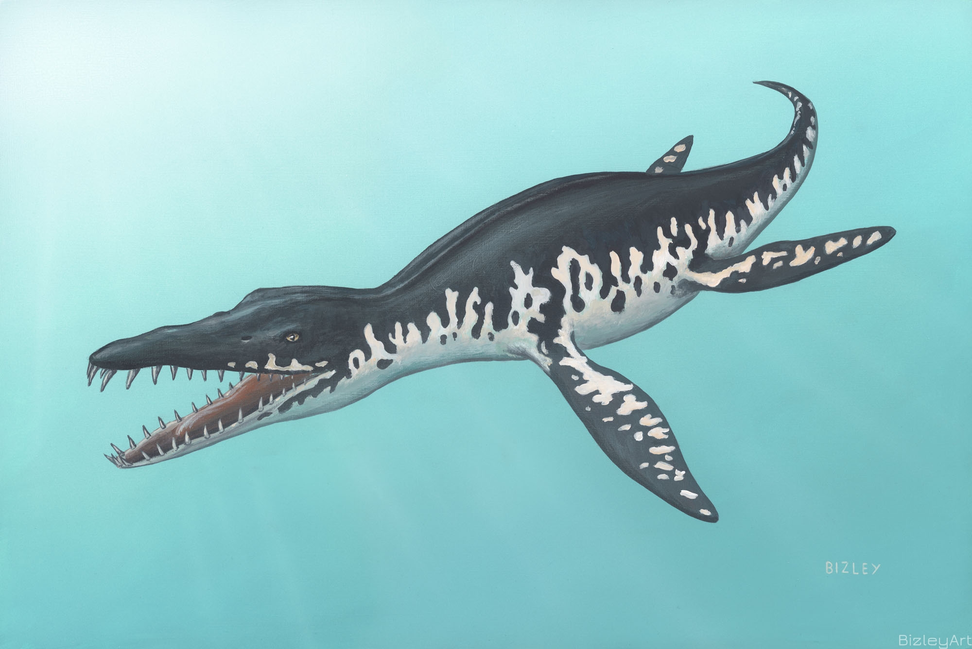 1008 Liopleurodon 