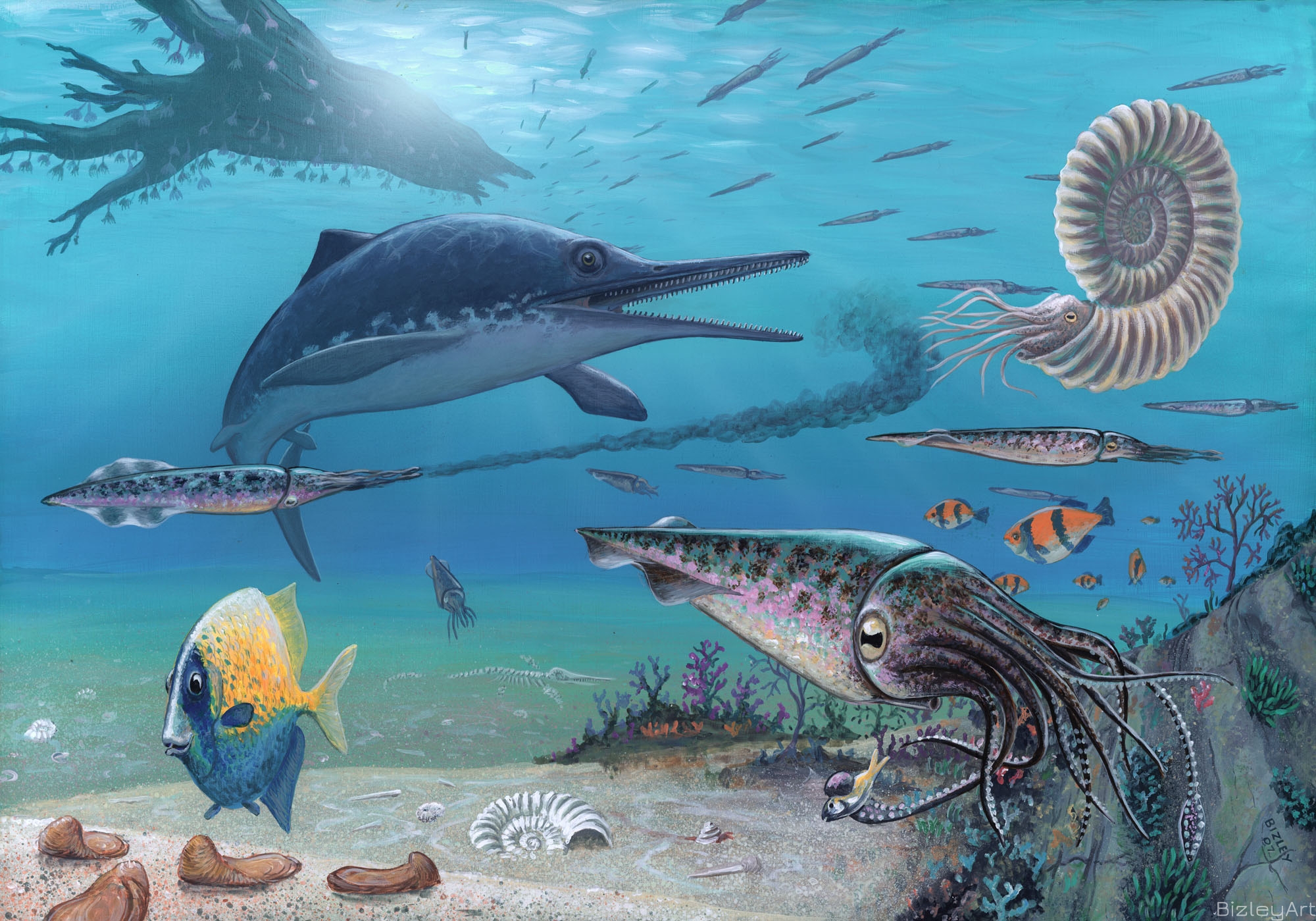 0750 Escaping Belemnite 