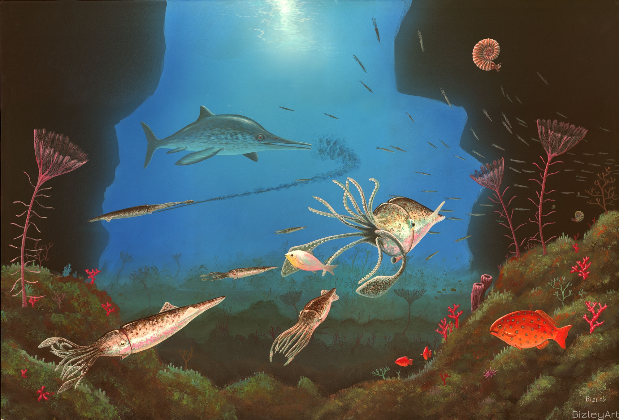 0306 Belemnites 