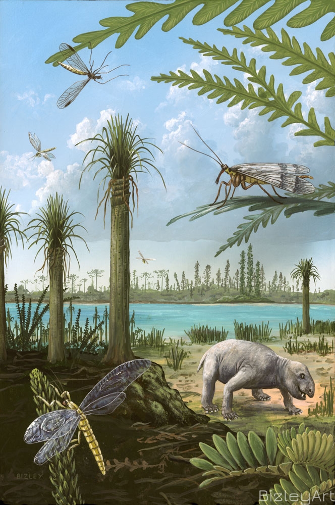 1203 Triassic of Australia 