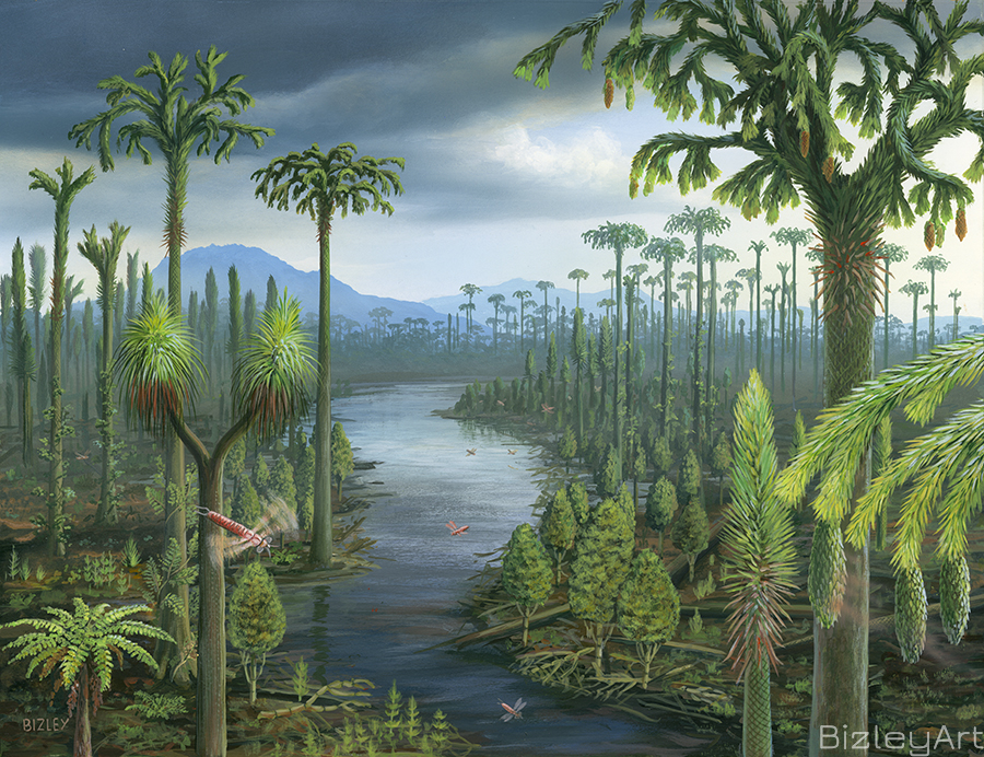 2507 Carboniferous Forest - Brymbo