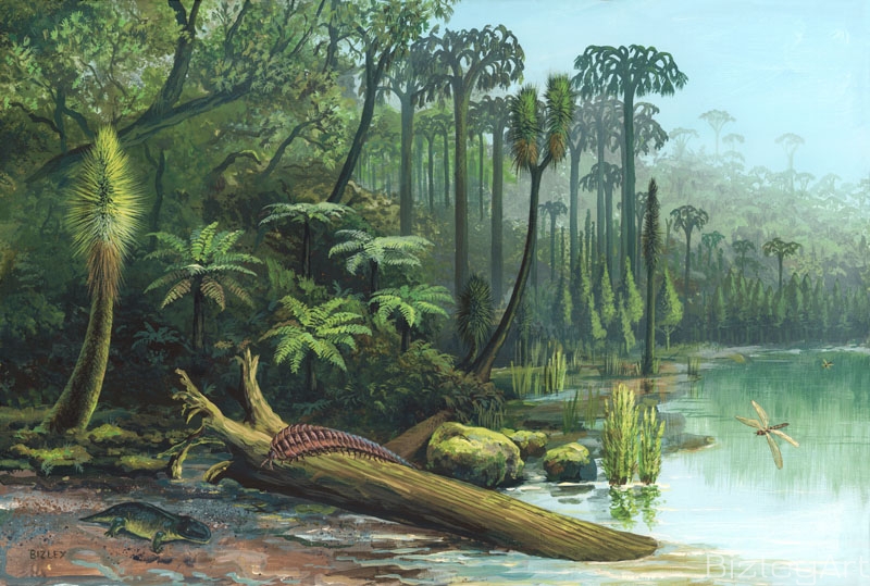 1224 Carboniferous