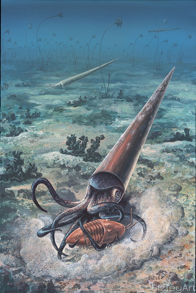 1431 Orthocone Attack 