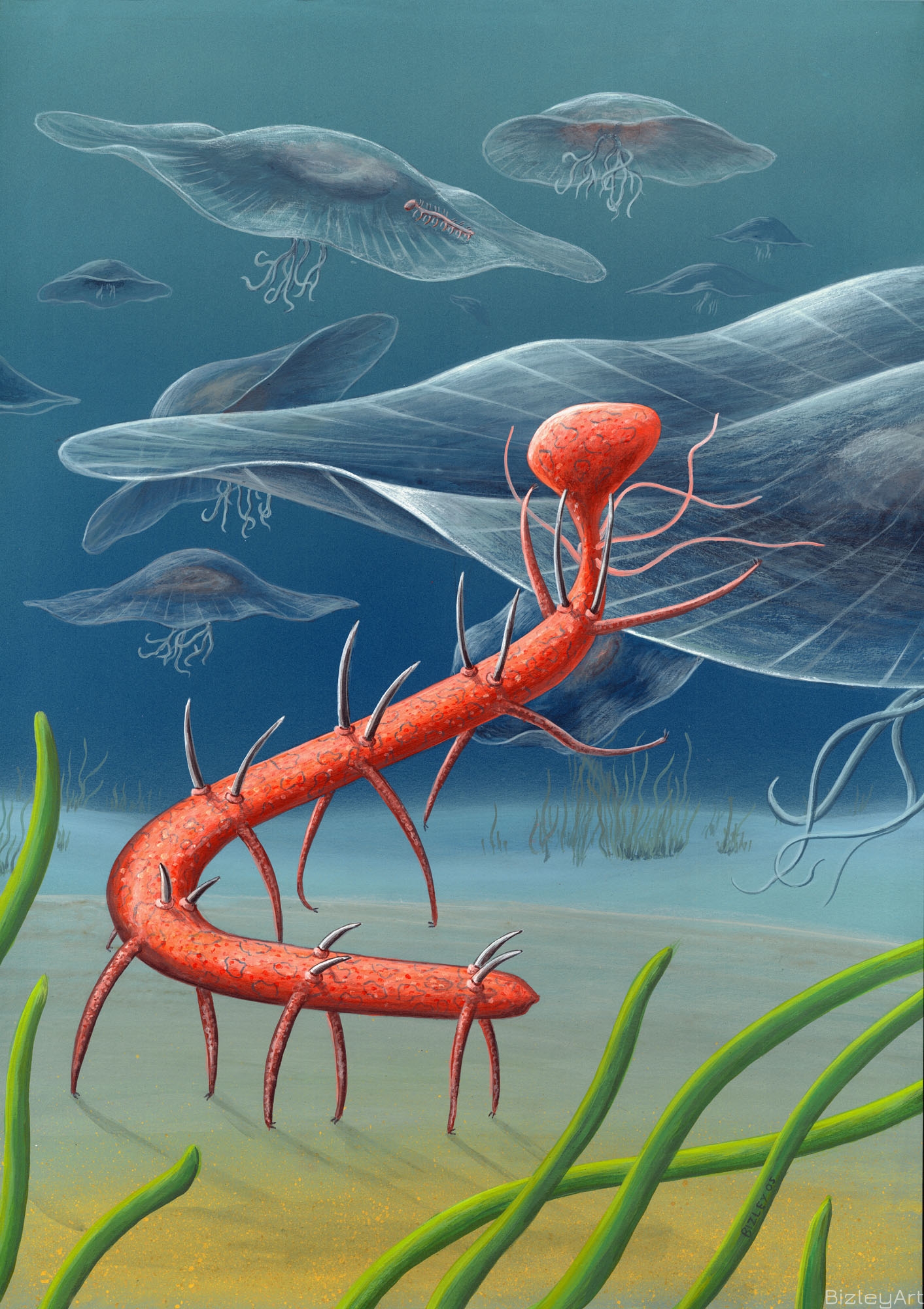 0507 Hallucigenia Fortis 