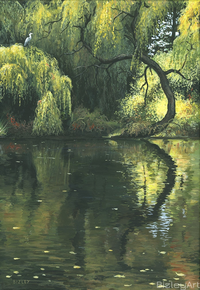 1814 Reflecting Willow
