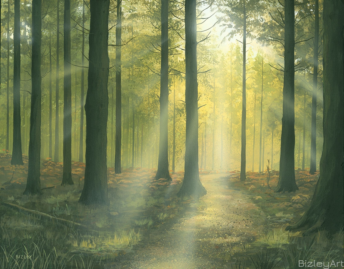 2018  Forest Rays