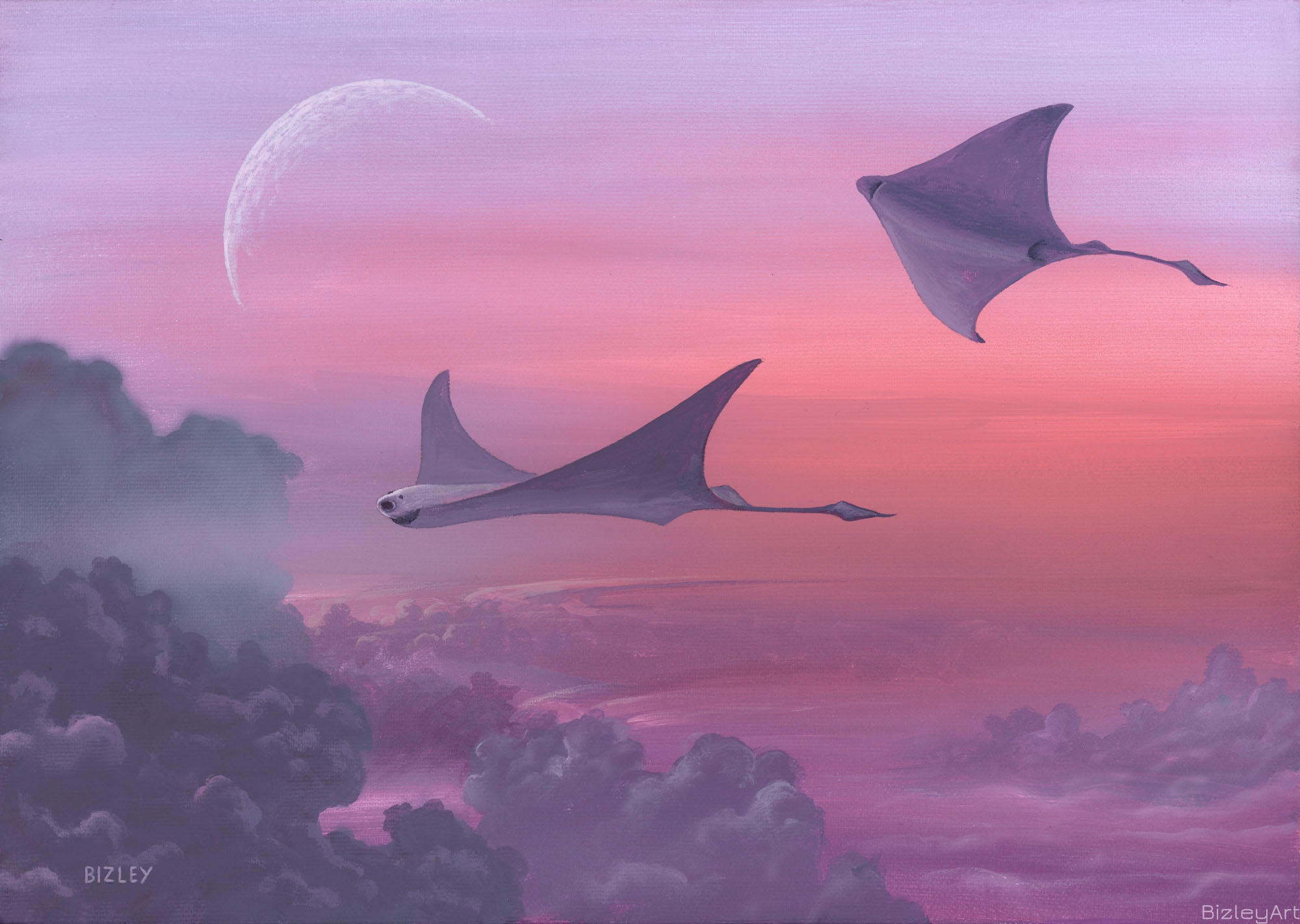 0725 The Long Flight