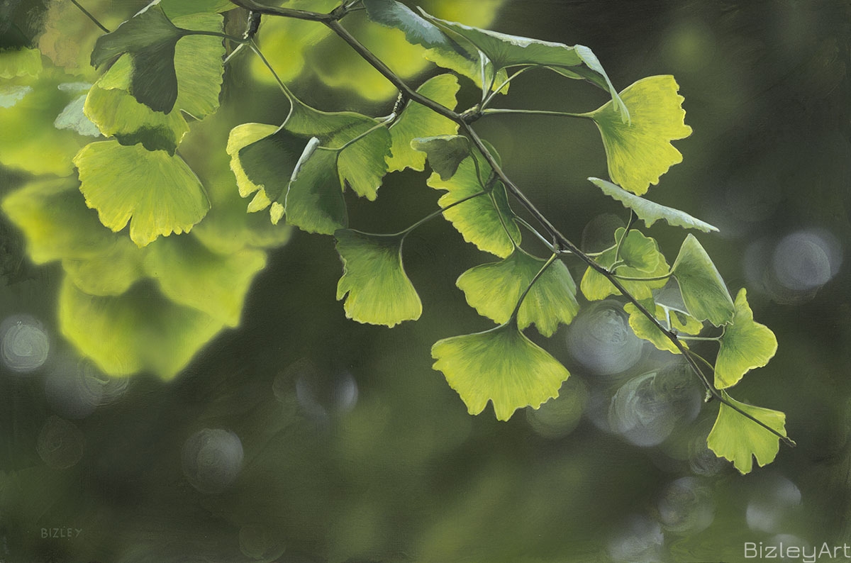 1523 Ginkgo biloba