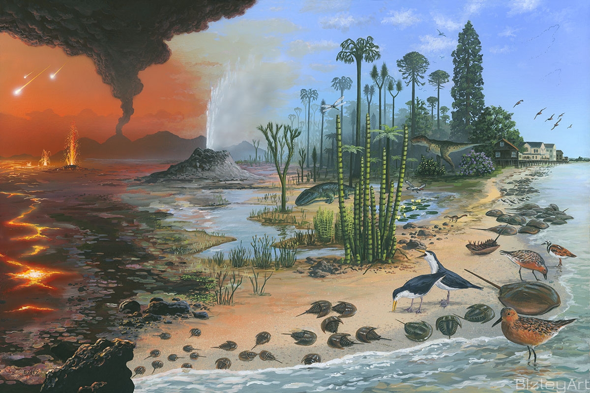 1803 Horseshoe Crabs Through the Ages