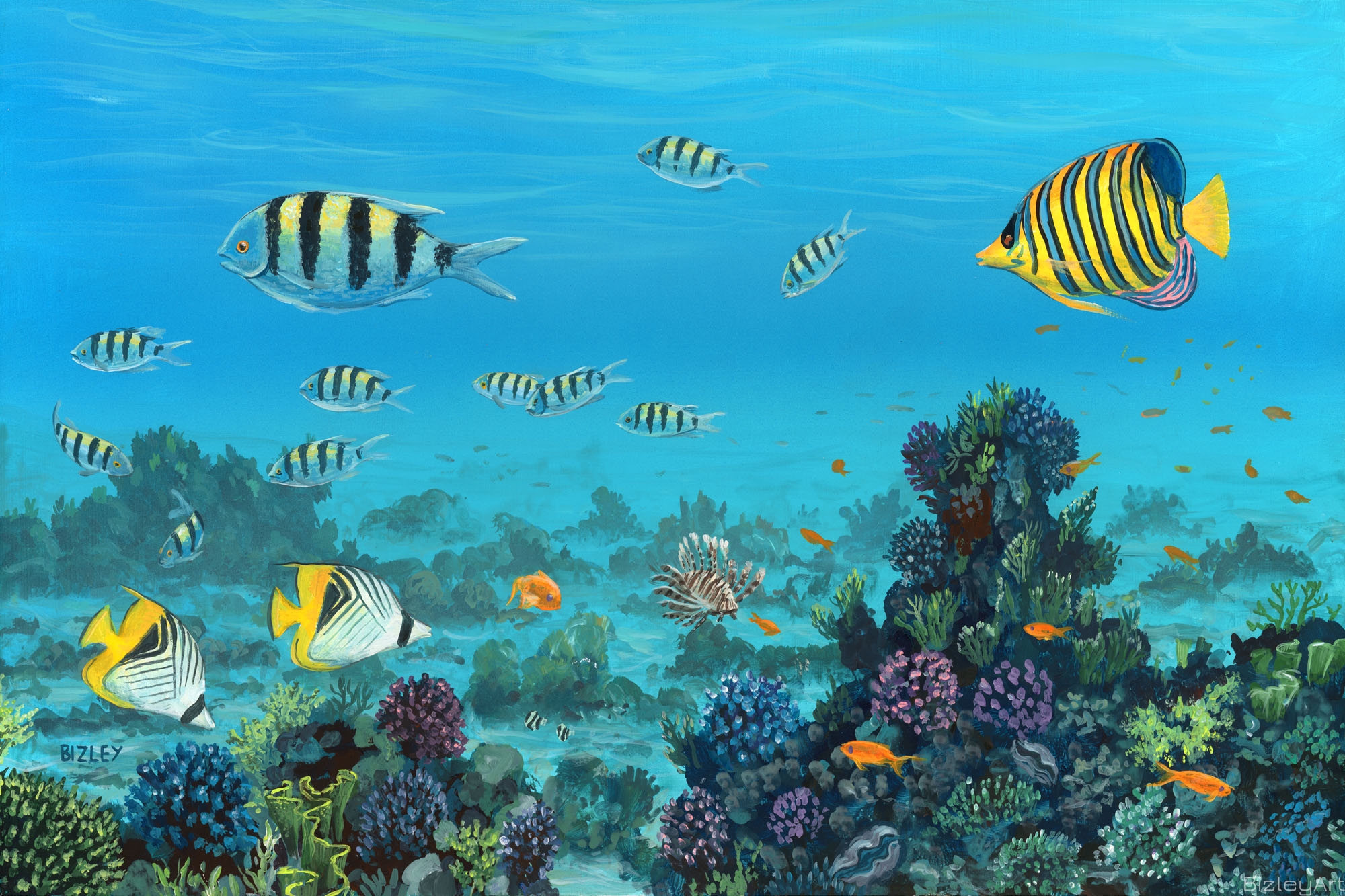 1007 Red Sea Reefs  